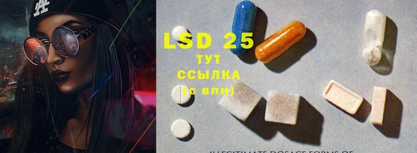 ПСИЛОЦИБИНОВЫЕ ГРИБЫ Балабаново