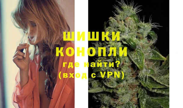 ПСИЛОЦИБИНОВЫЕ ГРИБЫ Балабаново